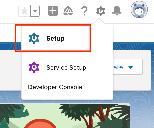 Fig.7. Salesforce - Setup